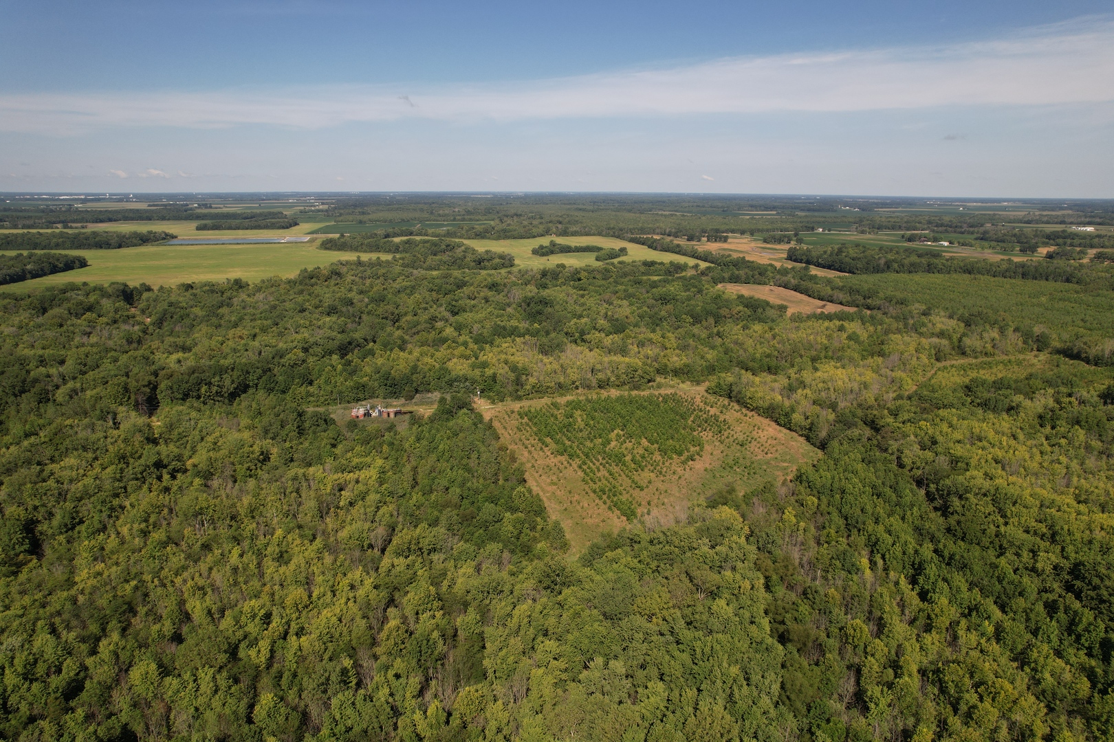 Tract 1 Mint Lane Clay City, IL 62824 - Photo 15 of 24 a view of an ocean