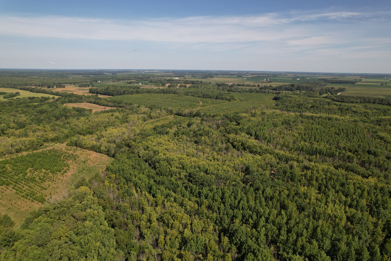 Tract 1 Mint Lane Clay City, IL 62824 - Photo 16 of 24 an aerial view of residential houses with outdoor space