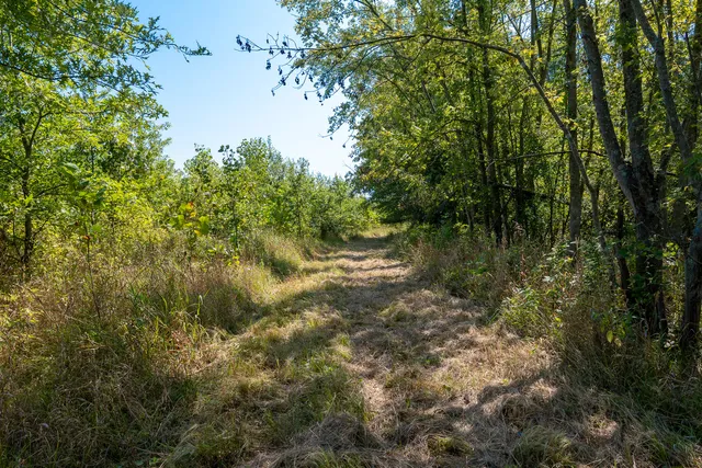 a view of backyard with green space