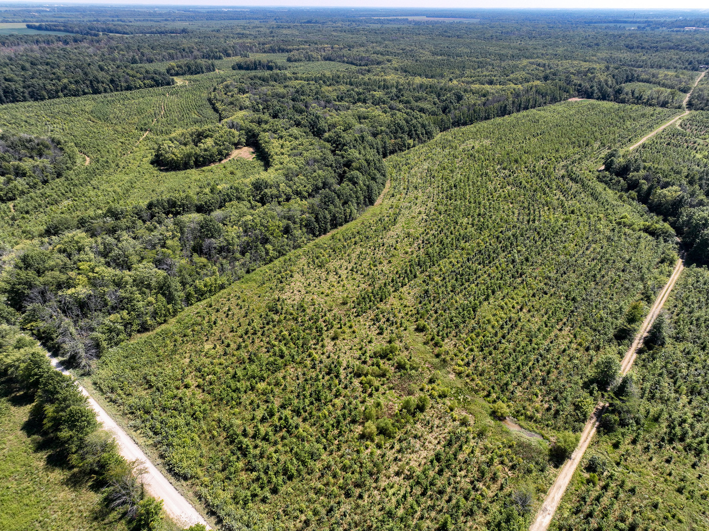 Tract 1 Mint Lane Clay City, IL 62824 - Photo 2 of 24 an aerial view of mountain with trees