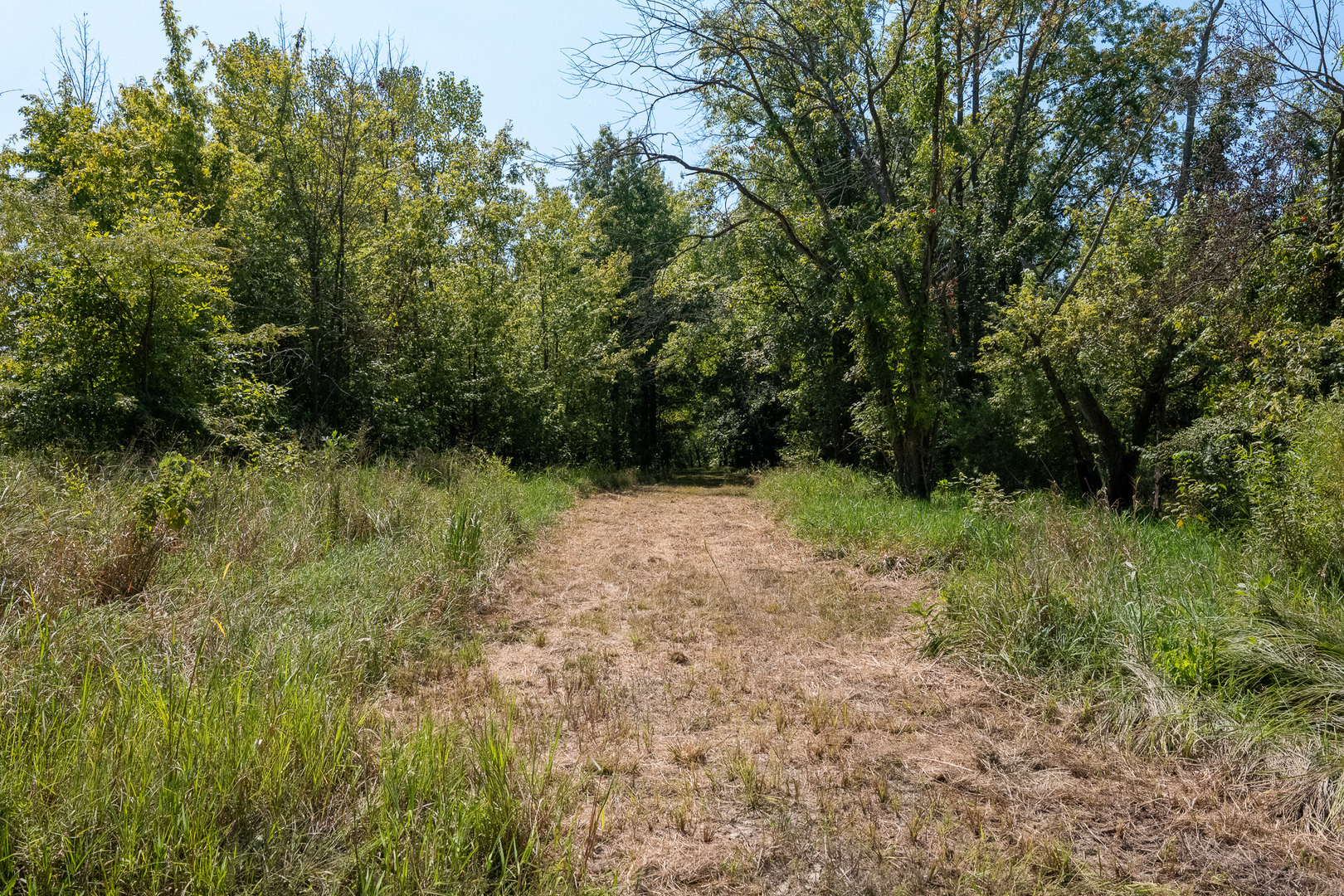Tract 1 Mint Lane Clay City, IL 62824 - Photo 21 of 24 a view of backyard with green space