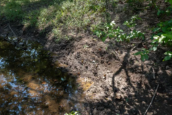 a bathroom with a shower and bathtub