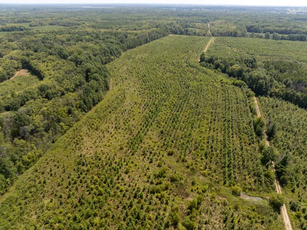 an aerial view of a houses with a yard