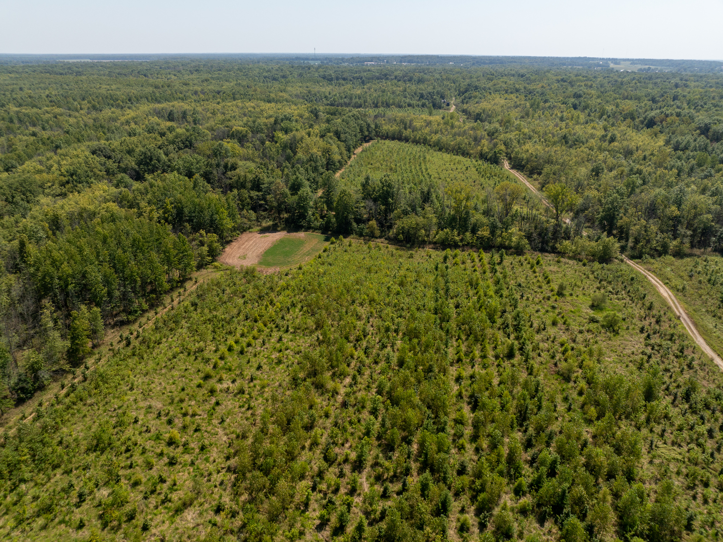 Tract 1 Mint Lane Clay City, IL 62824 - Photo 5 of 24 a view of a city with lush green forest