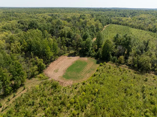 an aerial view of a trees