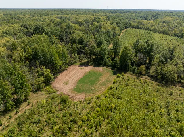 an aerial view of a trees