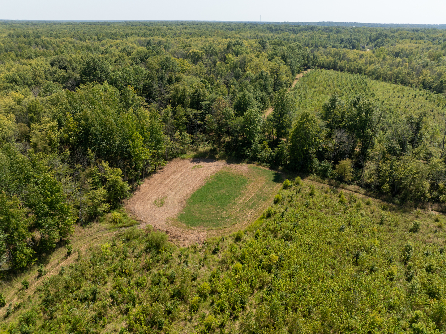 Tract 1 Mint Lane Clay City, IL 62824 - Photo 6 of 24 an aerial view of a trees