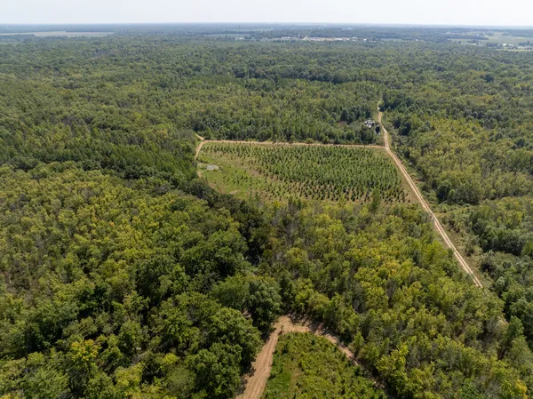 an aerial view of forest
