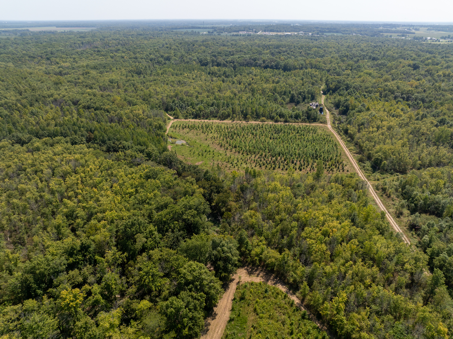 Tract 1 Mint Lane Clay City, IL 62824 - Photo 7 of 24 an aerial view of forest
