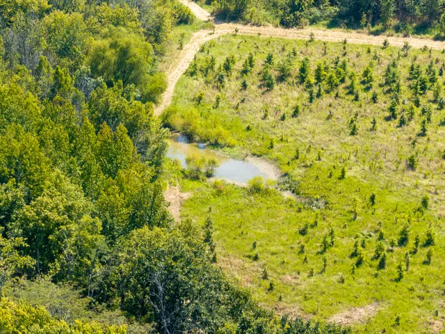 a view of a yard of a building