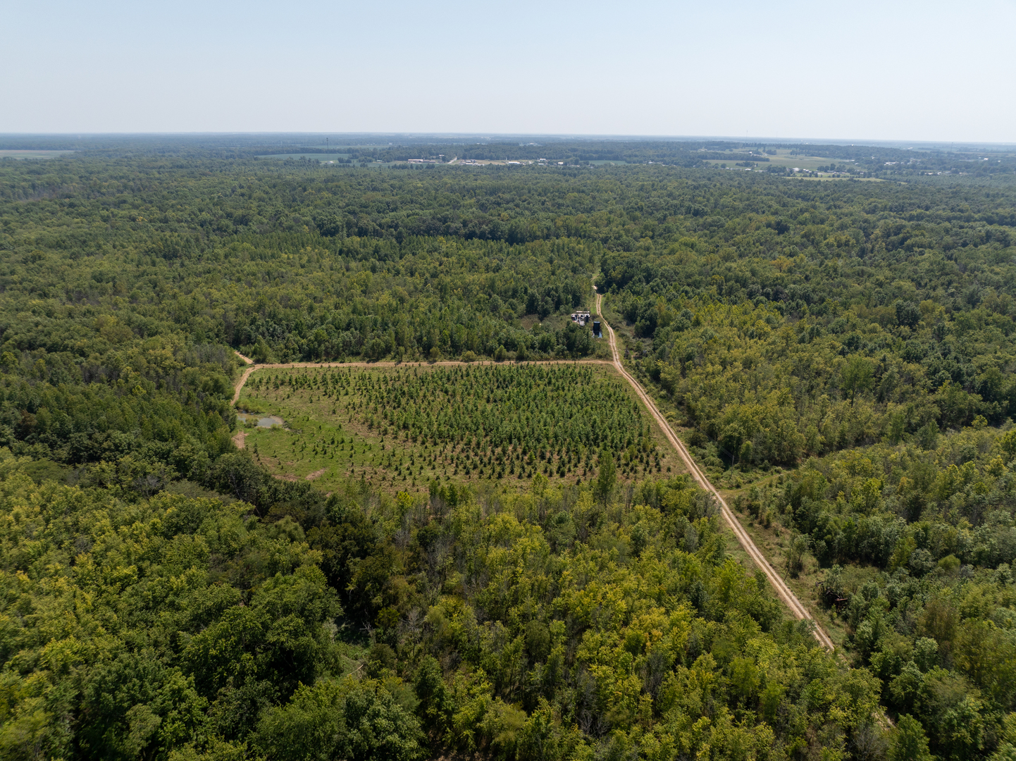 Tract 1 Mint Lane Clay City, IL 62824 - Photo 9 of 24 an aerial view of forest