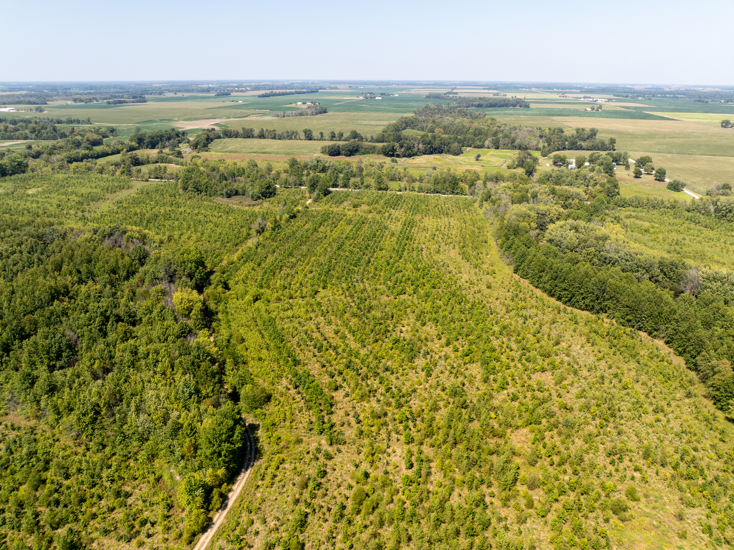 Tract 1 Mint Lane Clay City, IL 62824 - Photo 10 of 24 a view of an ocean view