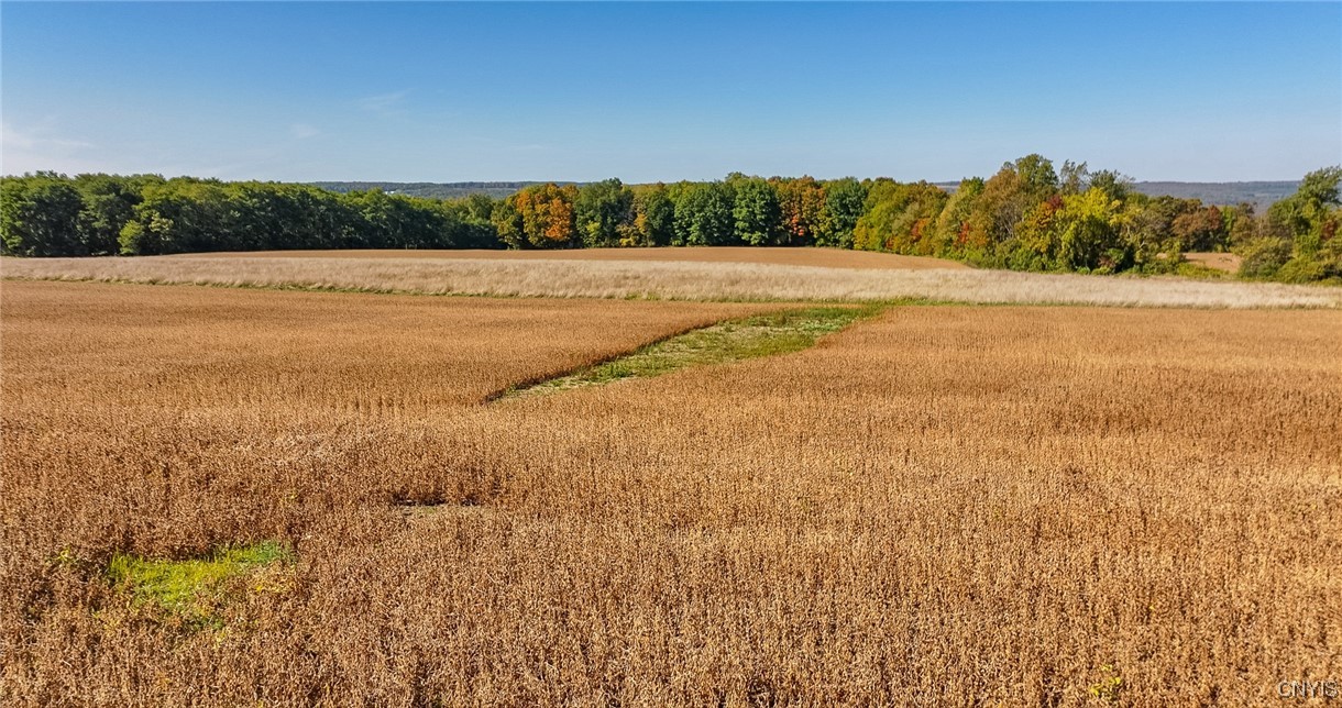L11 Hall Road Moravia, NY 13118 - Photo 5 of 19