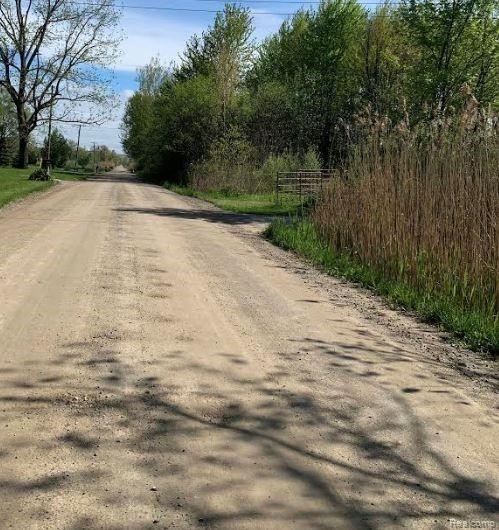 B Carleton West Road Belleville, MI 48111 - Photo 3 of 4