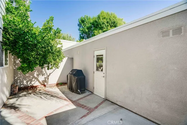 a view of backyard with a potted plant