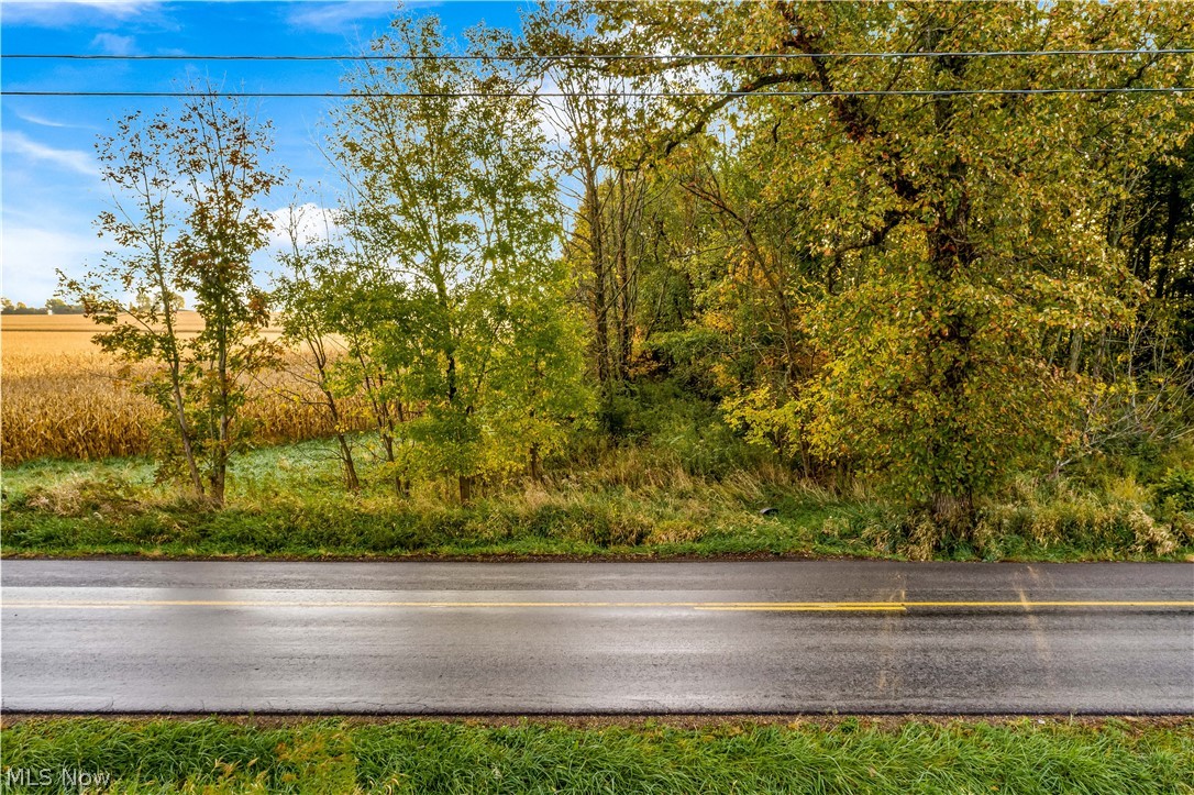 North Elyria Road West Salem, OH 44287 - Photo 19 of 21