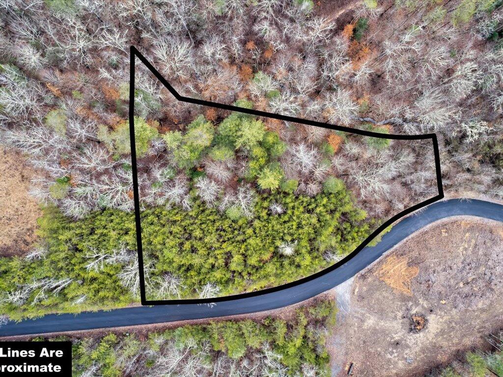 Lot 106 Huff Overlook Way, Unit 106 Del Rio, TN 37727 - Photo 1 of 27 Lot 106 Huff Overlook - 1