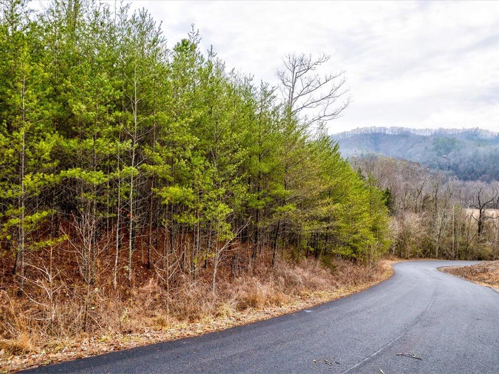 Lot 106 Huff Overlook Way, Unit 106 Del Rio, TN 37727 - Photo 2 of 27 Lot 106 Huff Overlook - 2