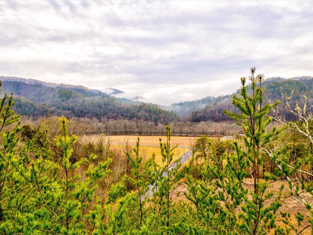 Lot 106 Huff Overlook Way, Unit 106 Del Rio, TN 37727 - Photo 21 of 27 Lot 106 Huff Overlook - 22