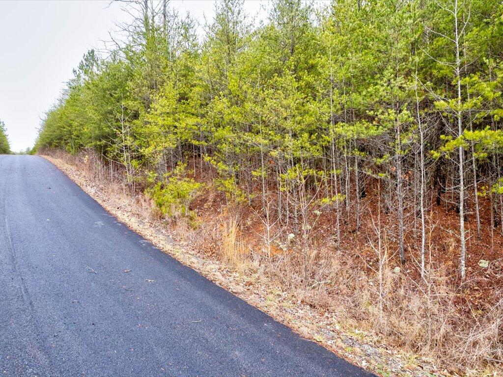 Lot 106 Huff Overlook Way, Unit 106 Del Rio, TN 37727 - Photo 3 of 27 Lot 106 Huff Overlook - 3