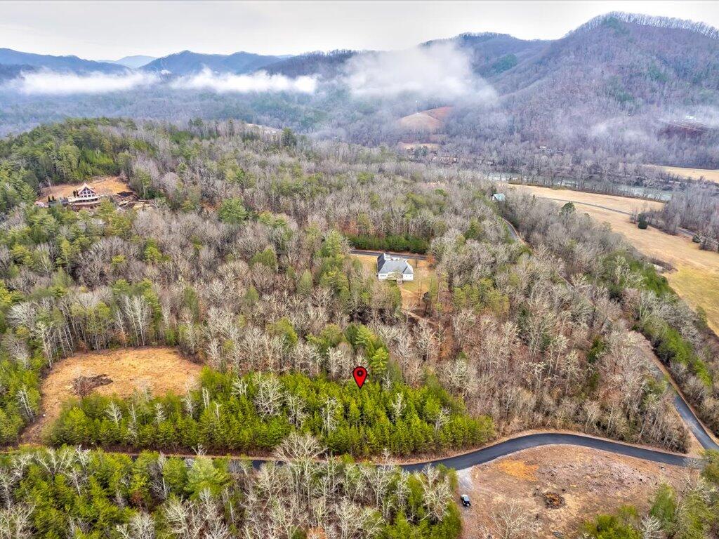 Lot 106 Huff Overlook Way, Unit 106 Del Rio, TN 37727 - Photo 4 of 27 Lot 106 Huff Overlook - 4