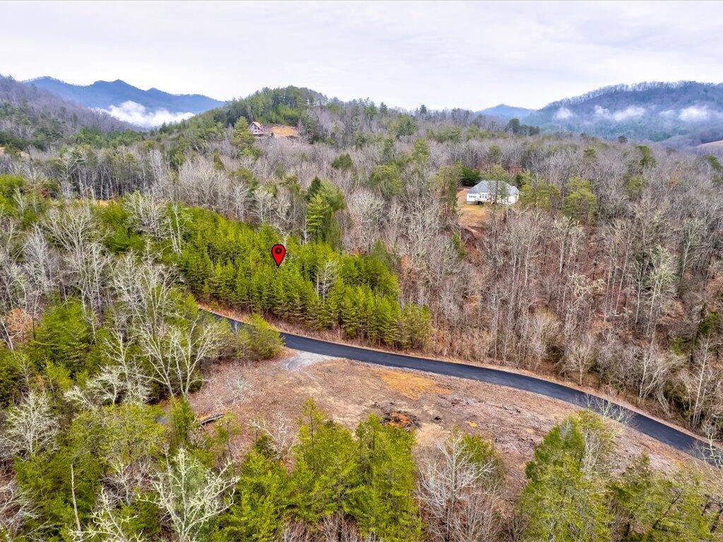 Lot 106 Huff Overlook Way, Unit 106 Del Rio, TN 37727 - Photo 7 of 27 Lot 106 Huff Overlook - 7