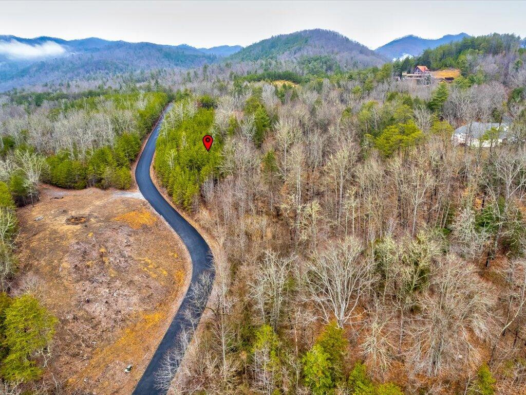 Lot 106 Huff Overlook Way, Unit 106 Del Rio, TN 37727 - Photo 8 of 27 Lot 106 Huff Overlook - 8