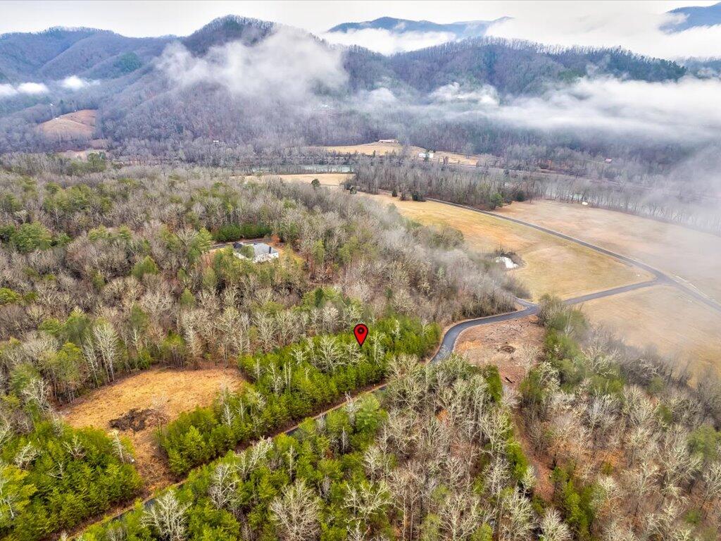 Lot 106 Huff Overlook Way, Unit 106 Del Rio, TN 37727 - Photo 9 of 27 Lot 106 Huff Overlook - 9