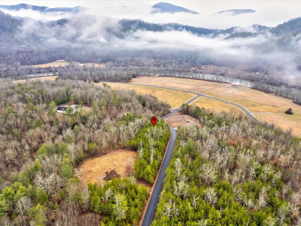 Lot 106 Huff Overlook Way, Unit 106 Del Rio, TN 37727 - Photo 10 of 27 Lot 106 Huff Overlook - 10