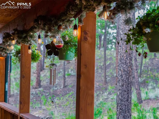 $550,000 | 290 North Mountain Estates Road, Florissant, CO 80816