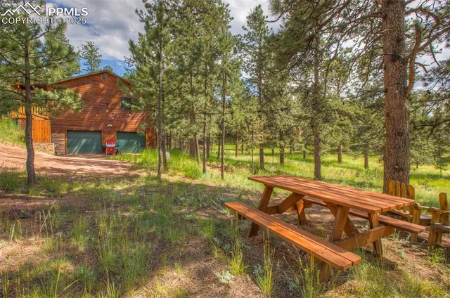 a view of a street with large trees