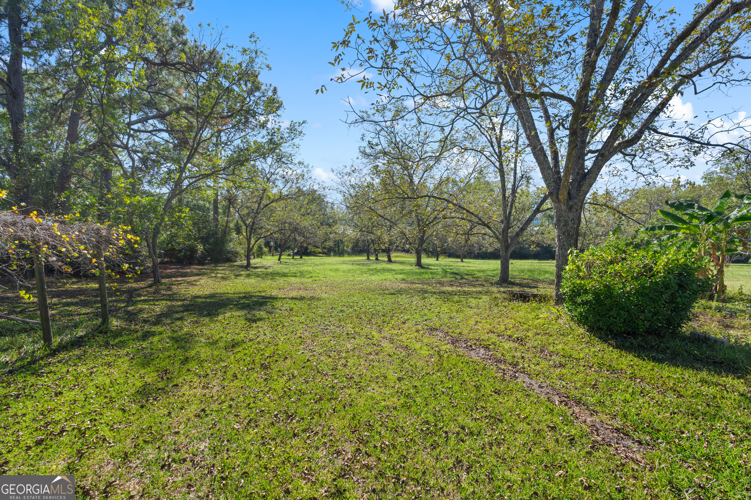 2 Finch Street Portal, GA 30450 - Photo 16 of 23 a view of a park with large trees