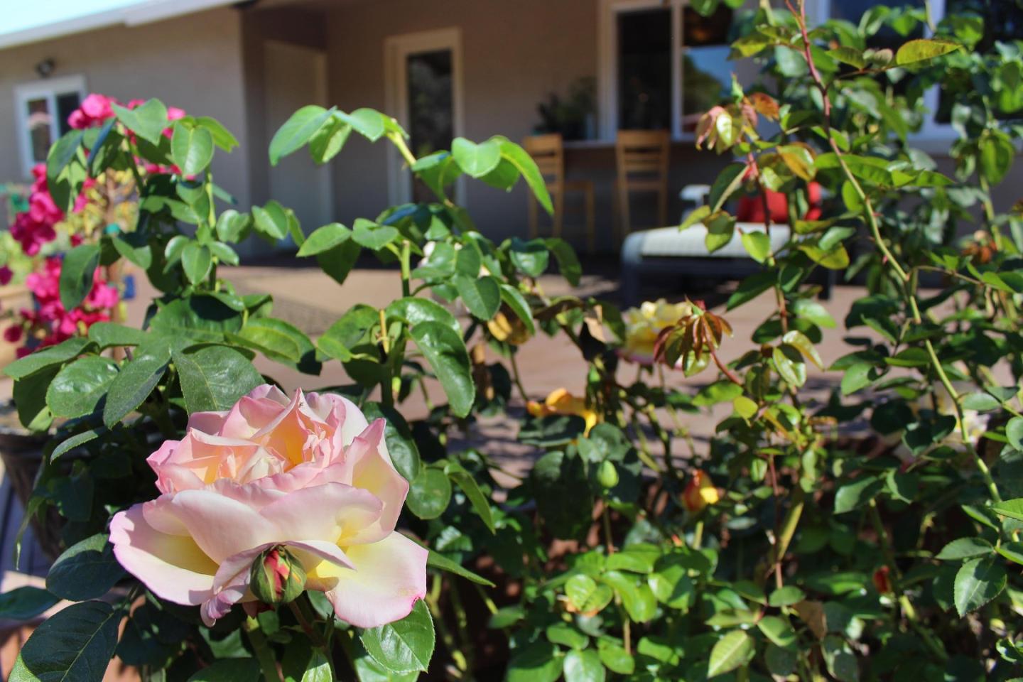 11 Oak Road Santa Cruz, CA 95060 - Photo 46 of 57