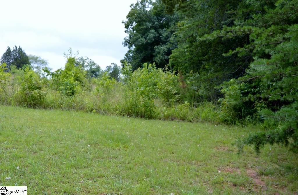 6300 Highway 108 Mill Spring, NC 28756 - Photo 14 of 14 Gallery Image 14