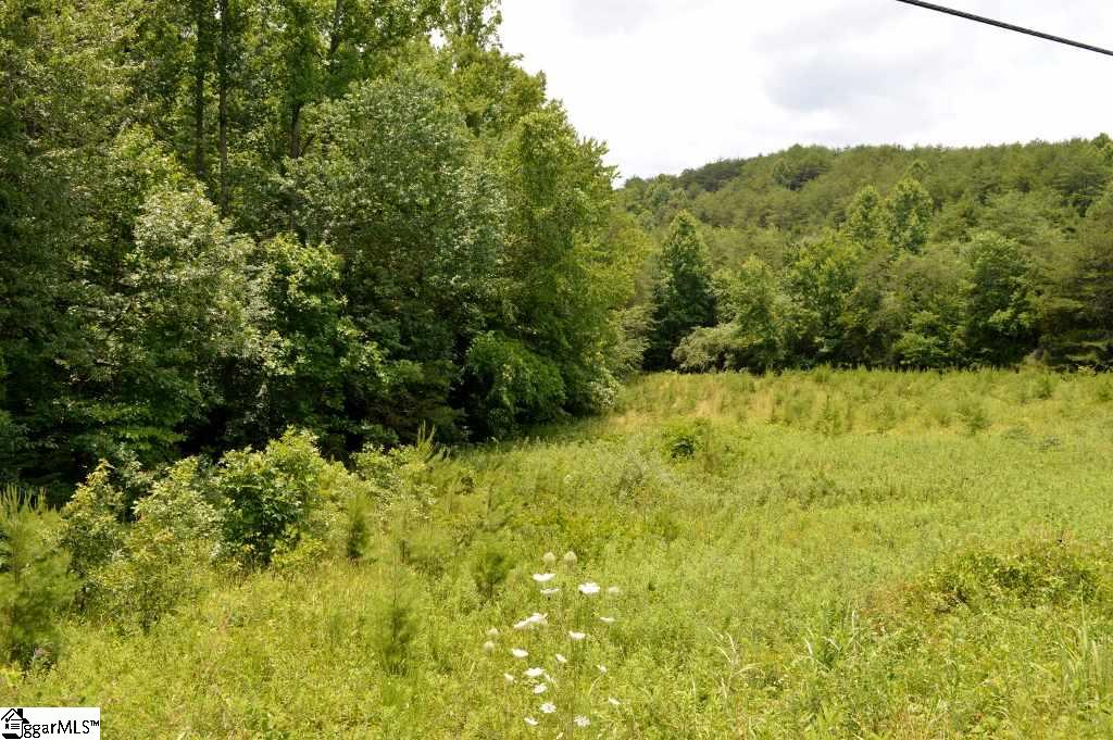 6300 Highway 108 Mill Spring, NC 28756 - Photo 3 of 14 Gallery Image 3