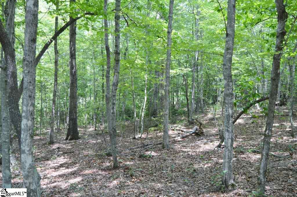 6300 Highway 108 Mill Spring, NC 28756 - Photo 5 of 14 Gallery Image 5