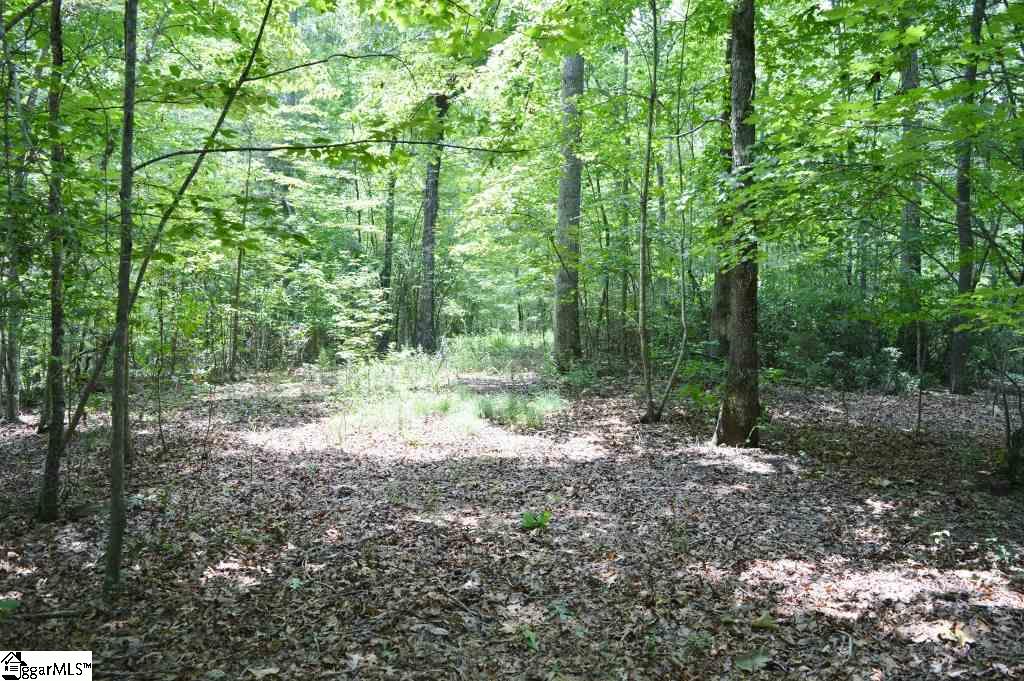 6300 Highway 108 Mill Spring, NC 28756 - Photo 6 of 14 Gallery Image 6