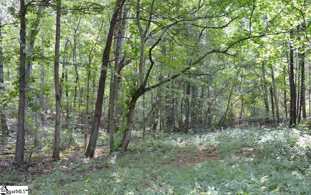 6300 Highway 108 Mill Spring, NC 28756 - Photo 8 of 14 Gallery Image 8