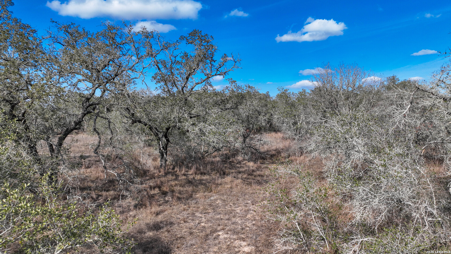 20 Clear Lake Loop Poteet, TX 78065 - Photo 2 of 13 a view of a yard with lots of bushes