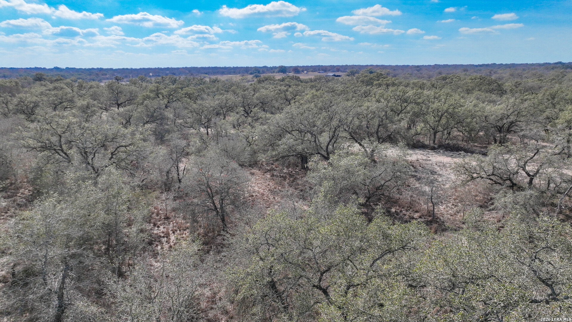 20 Clear Lake Loop Poteet, TX 78065 - Photo 5 of 13 a view of a dry yard with lots of trees