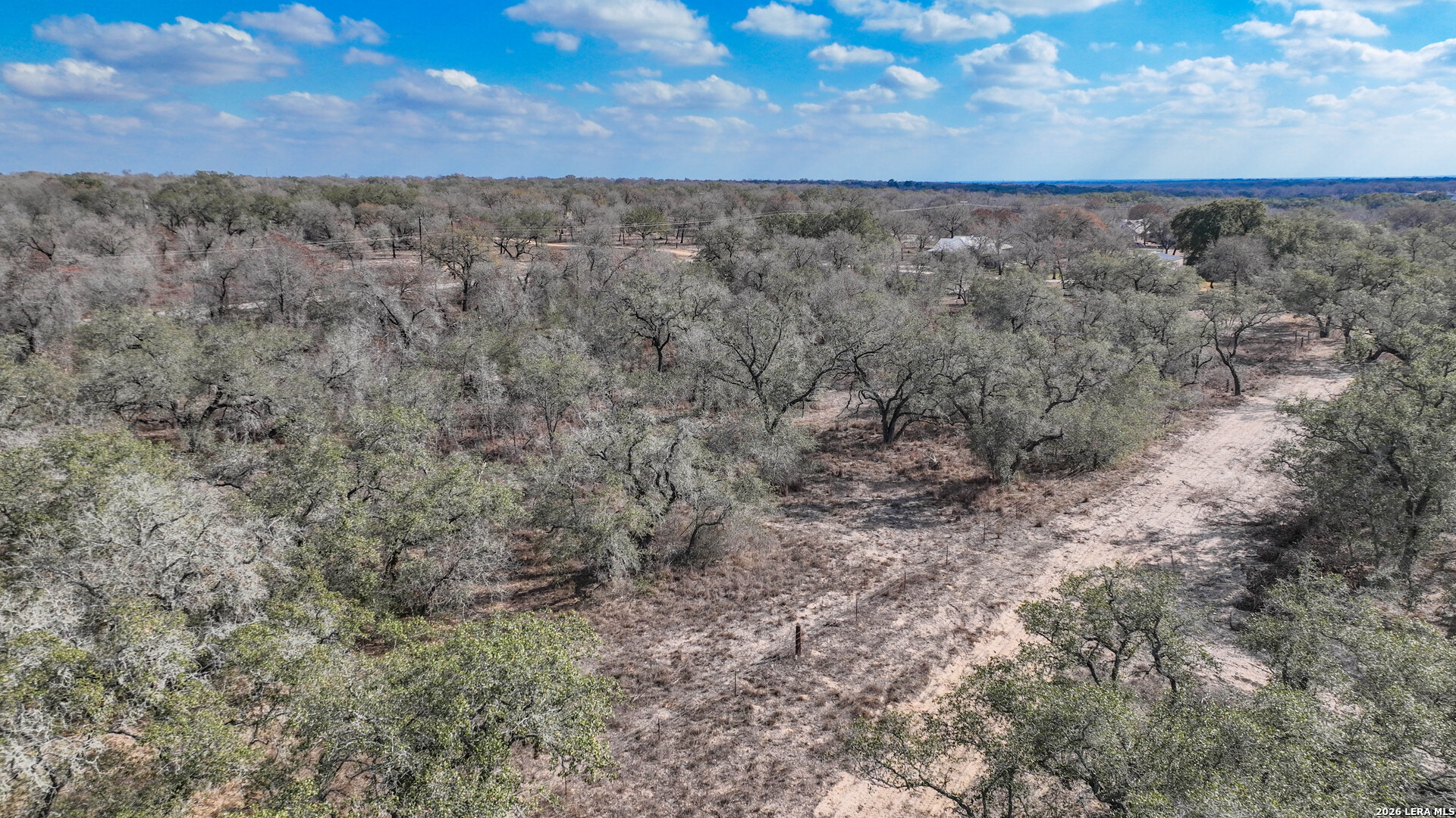 20 Clear Lake Loop Poteet, TX 78065 - Photo 6 of 13 a view of a dry yard with trees