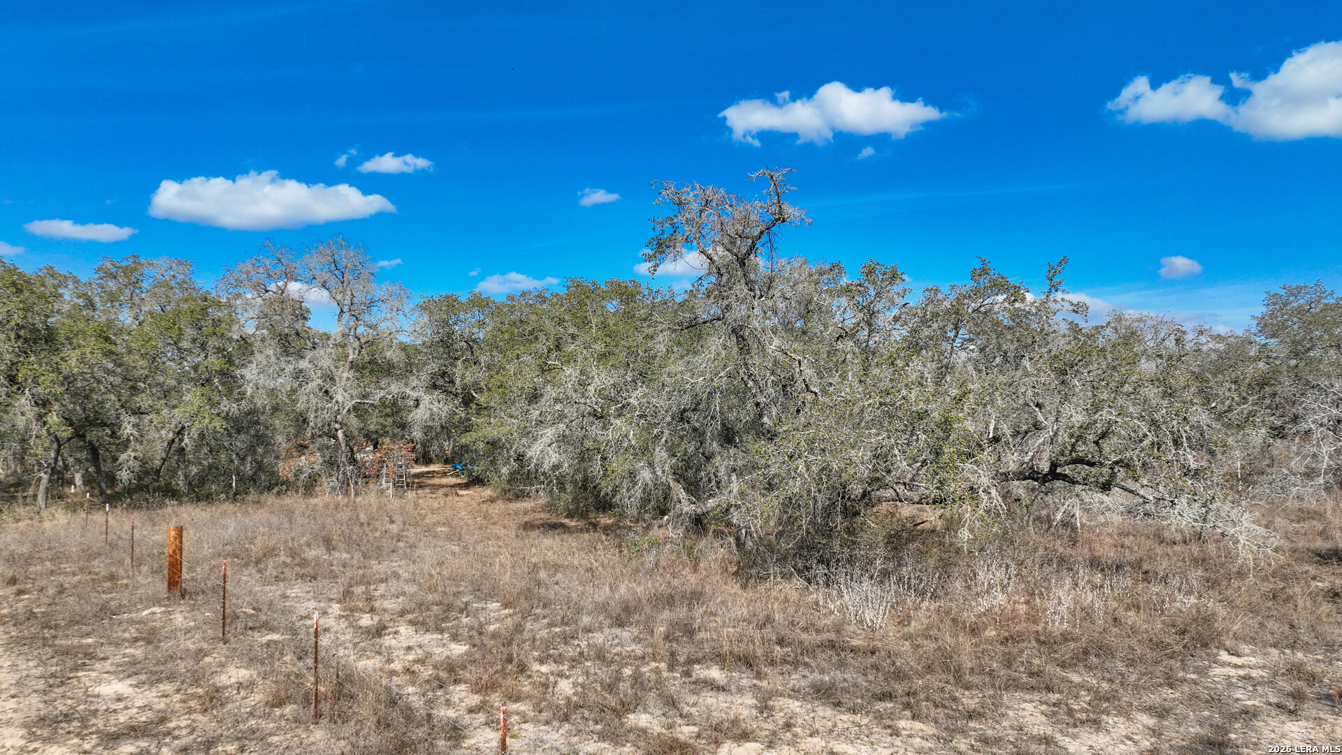 20 Clear Lake Loop Poteet, TX 78065 - Photo 10 of 13 a view of a yard with an tree