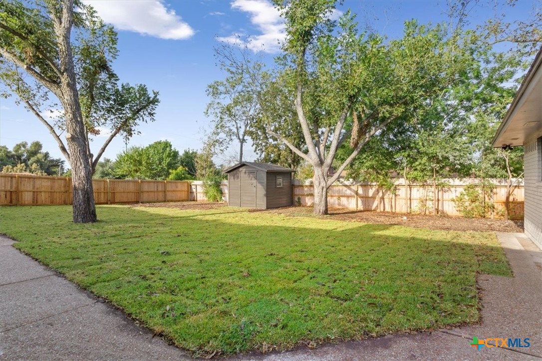 4306 Spanish Oak Road Temple, TX 76502 - Photo 33 of 36 a view of a trees with a big yard
