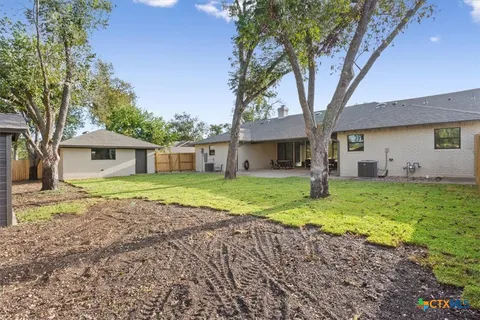 a tree in the middle of a yard