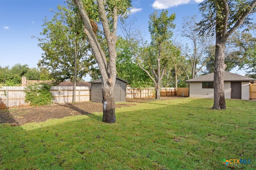 4306 Spanish Oak Road Temple, TX 76502 - Photo 36 of 36 a tree in the middle of a yard