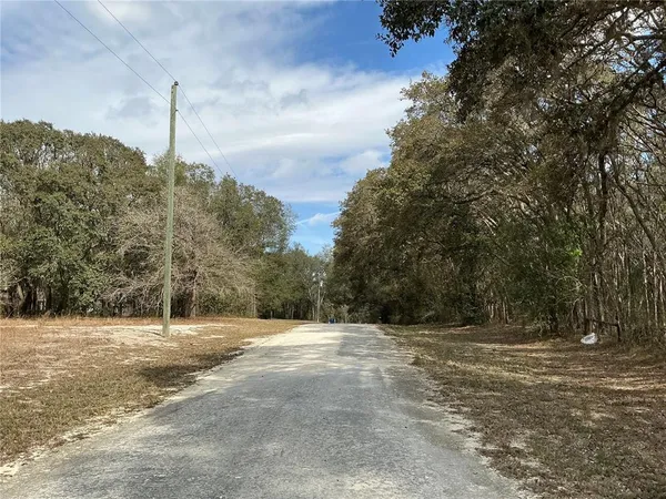 a view of a dirt road with trees in the background