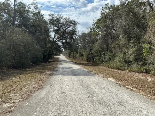 $35,000 | 9299 Goodstone Drive, Webster, FL 33597