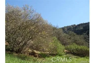 $3,500 | 29716 Jackson Street, Castaic, CA 91384