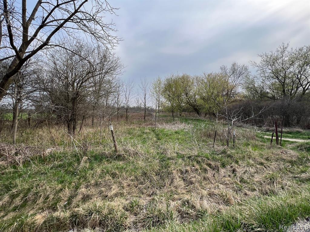 28 28 Mile Road New Haven, MI 48048 - Photo 1 of 20