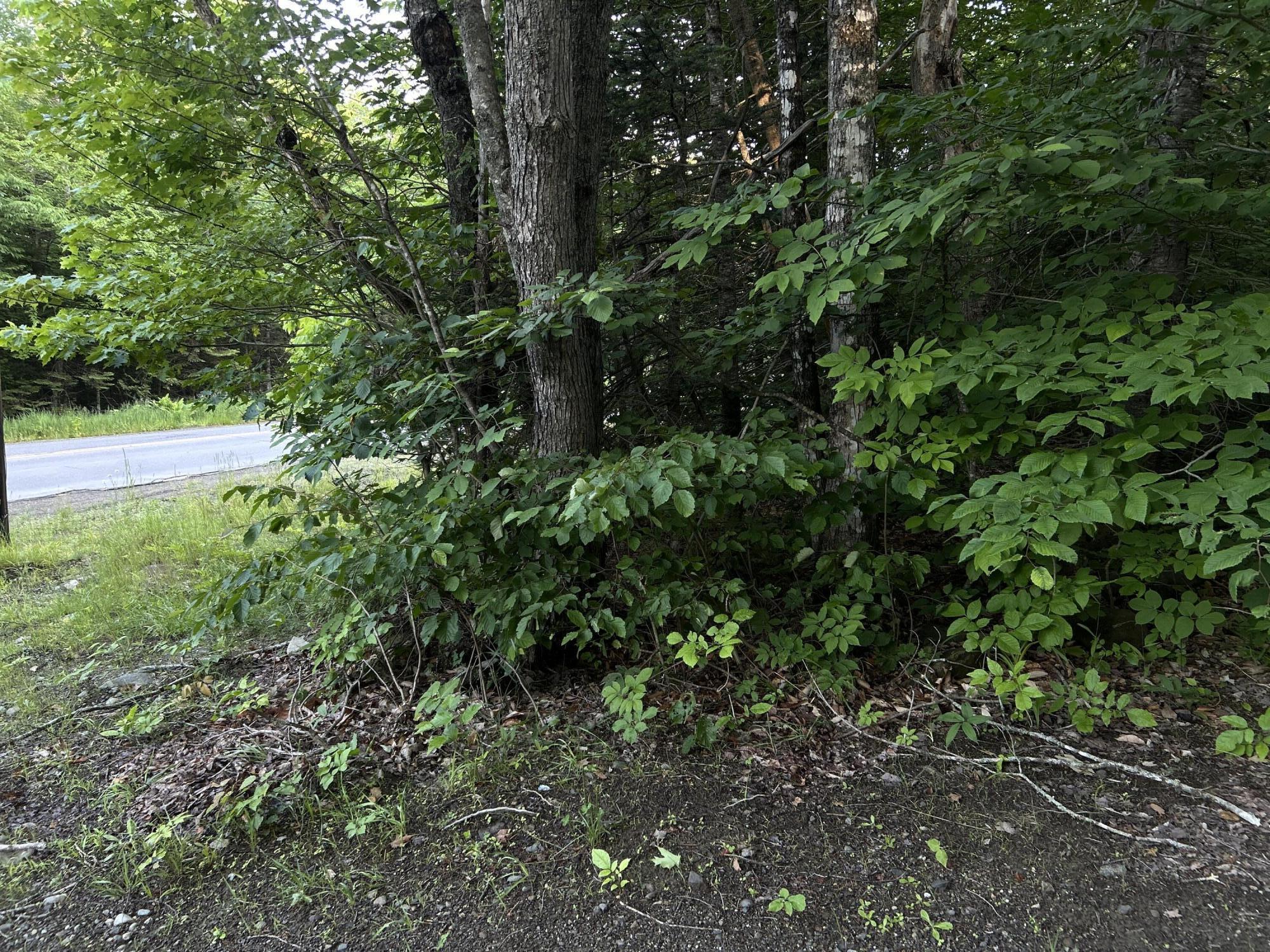 24a Anson Valley Road New Vineyard, ME 04956 - Photo 17 of 93 IMG_4944